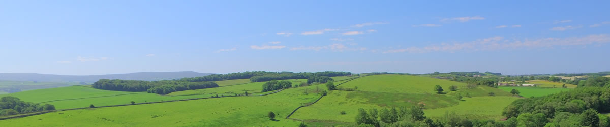 Redwell Fisheries Park Location